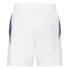 26 Adult Away Short