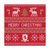 X57 Christmas Jumper Card