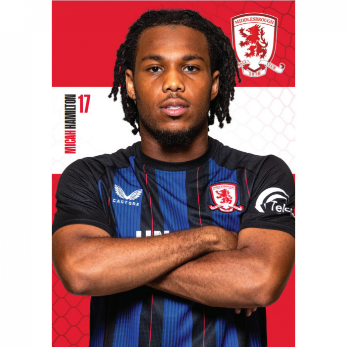 Micah Hamilton Postcard