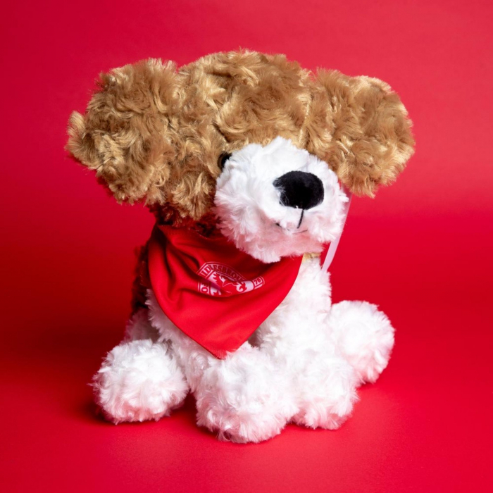Bernie Dog