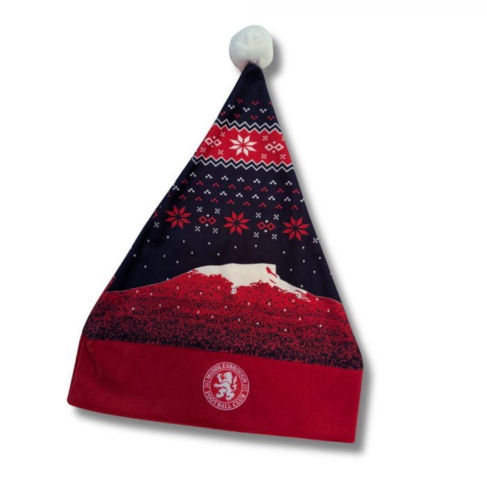 2026 Christmas Hat